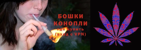 индика Осинники