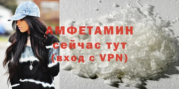 сатива Осташков