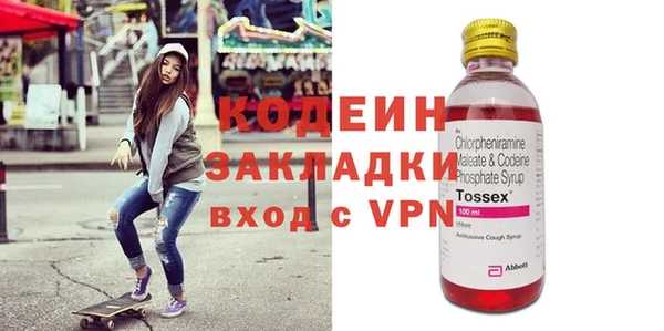 индика Осинники